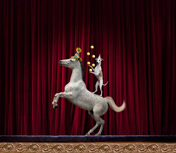 Photograph John Lund Dog And Pony Show on One Eyeland