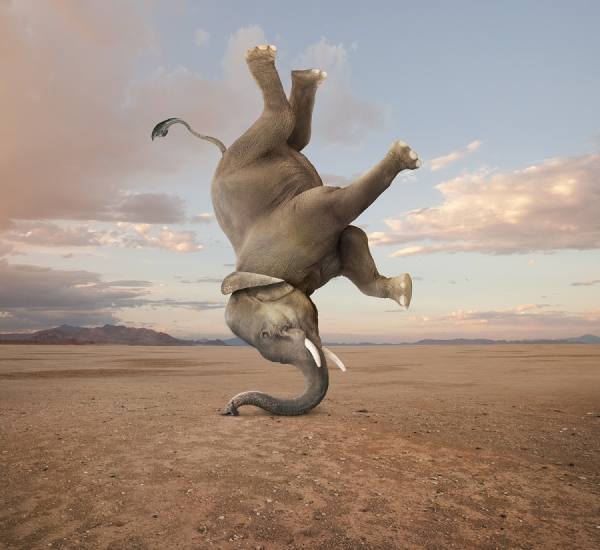 Photograph John Lund Headstand on One Eyeland