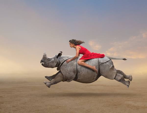 Photograph John Lund Rhino Run on One Eyeland