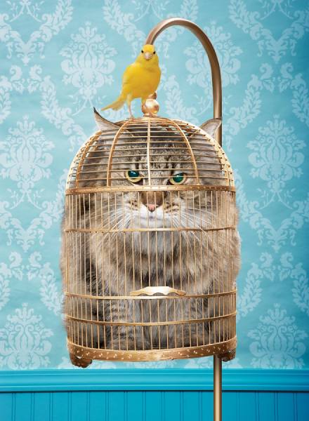 Photograph John Lund Caged on One Eyeland