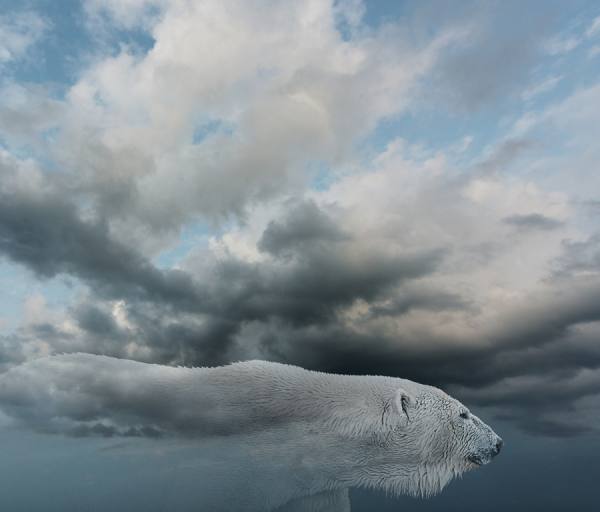 Photograph John Lund Vanishing Polar Bear on One Eyeland