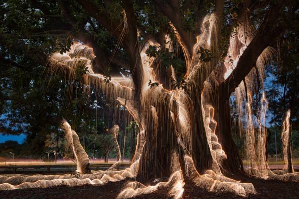 Photograph Vitor Schietti Ancient Life on One Eyeland