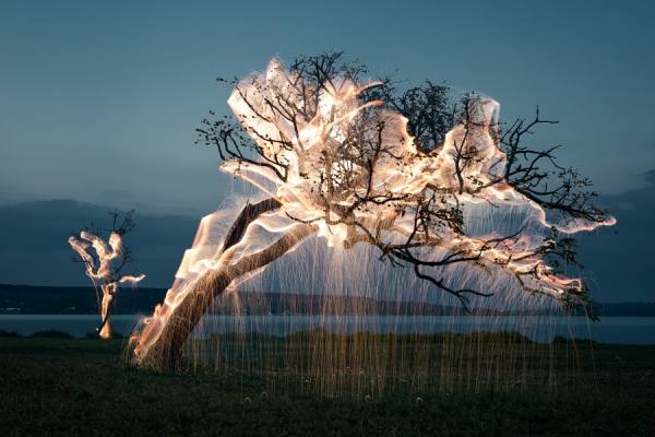 Photograph Vitor Schietti Tree Of A Lucid Dream on One Eyeland