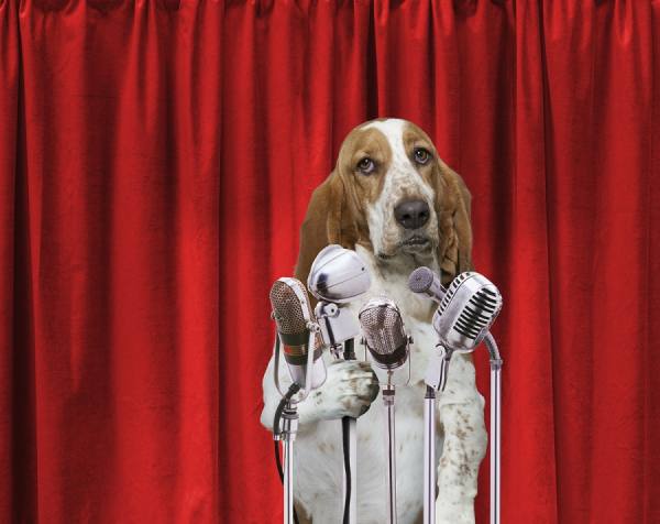 Photograph John Lund Basset Announcement on One Eyeland