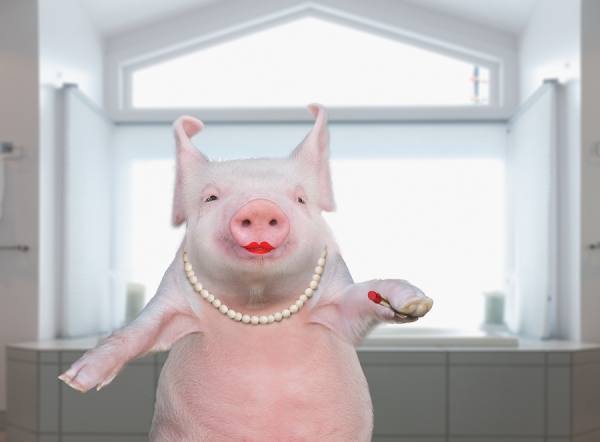 Photograph John Lund Lipstick On A Pig on One Eyeland