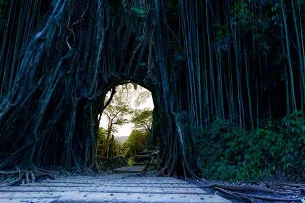 Photograph John Lund Portal on One Eyeland