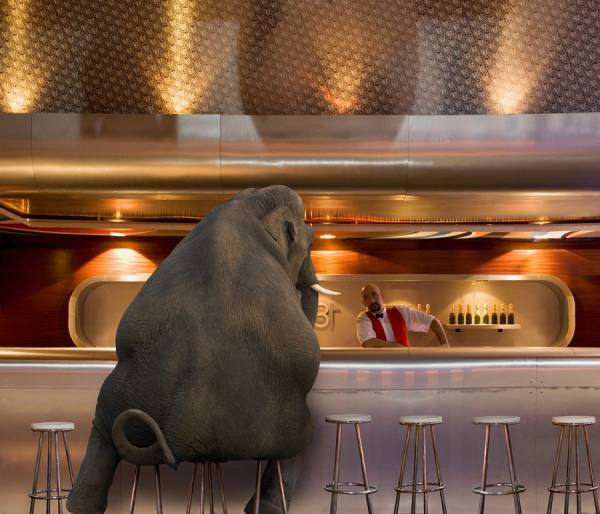 Photograph John Lund Elephant In The Bar on One Eyeland