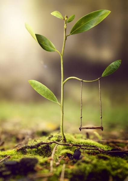 Photograph Matt Walford Trees For Cities on One Eyeland