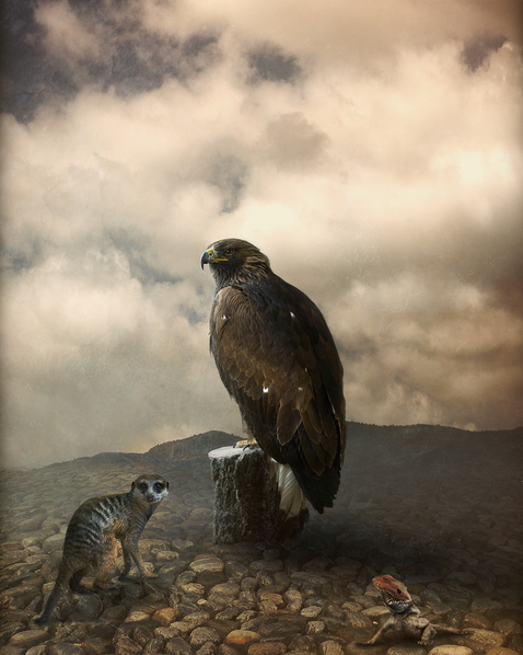 Photograph Svetlana Melik Nubarova Hunters And Victims on One Eyeland