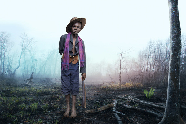 Photograph Alloys Iteba Bird Hunters on One Eyeland