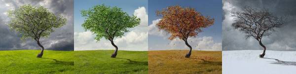 Photograph Chris Clor 4 Seasons on One Eyeland