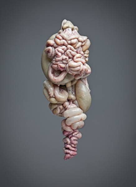 Photograph Ugo Ricciardi A Hanging 01 on One Eyeland
