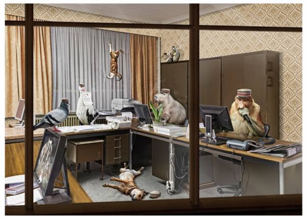 Photograph Jan Pypers Animals At Work on One Eyeland