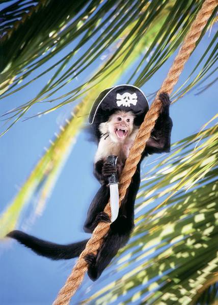 Photograph Lennette Newell Arrrgh on One Eyeland