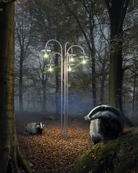 Photograph Ben Isselstein Badgers And Lantern on One Eyeland
