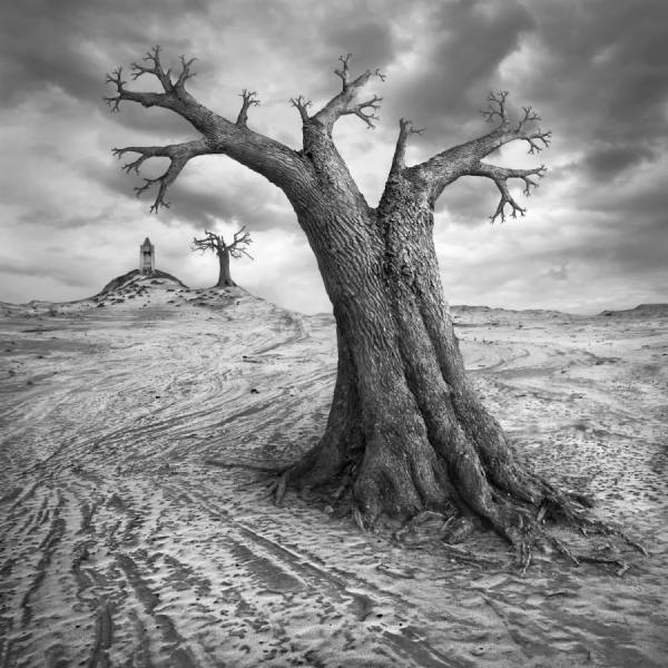 Photograph Dariusz Klimczak Badlands on One Eyeland