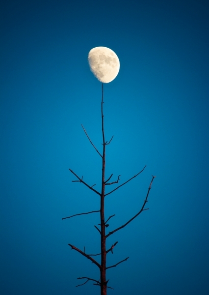 Photograph Joni Niemela Balancing on One Eyeland