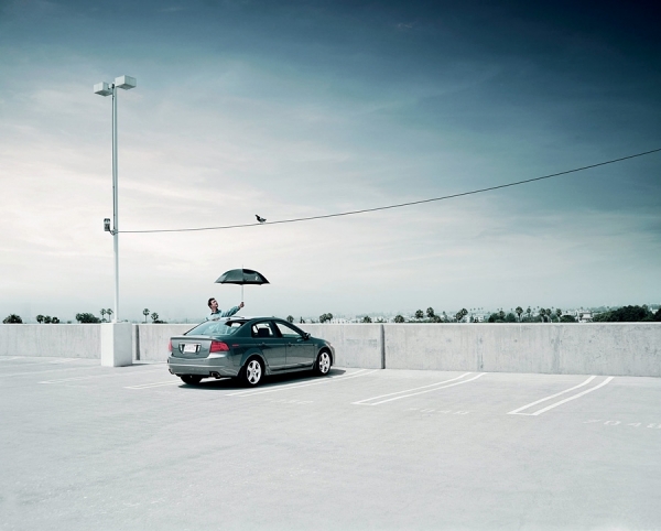 Photograph Dana Neibert Bird on One Eyeland