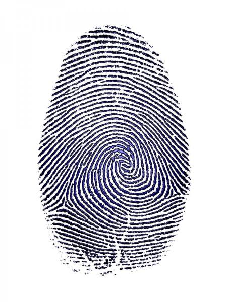 Photograph Morgan Howarth Blue Puddle Finger Print on One Eyeland