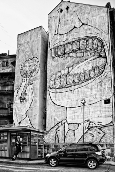 Photograph Stefan Amer Buildings Eating Trees on One Eyeland