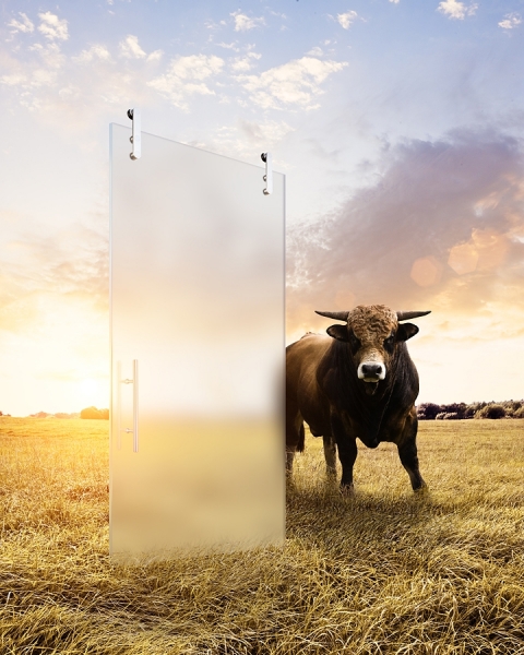 Photograph Ben Isselstein Bull And Glass Door on One Eyeland