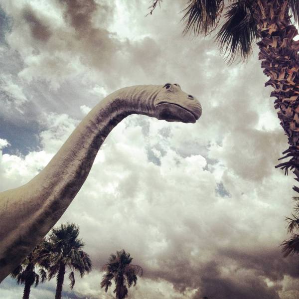 Photograph Kevin Steele California Dinosaur on One Eyeland