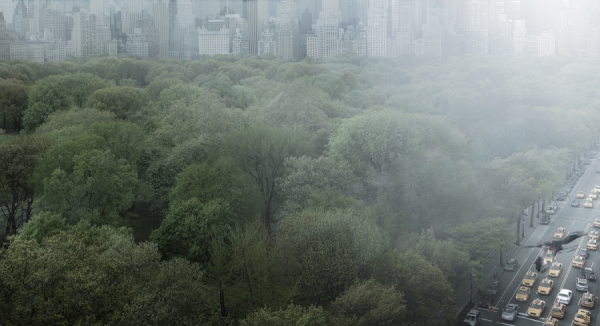 Photograph Chris Clor Central Park on One Eyeland