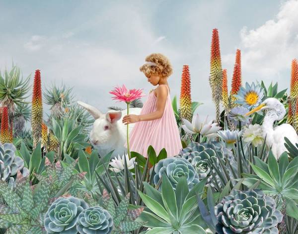 Photograph Ann Cutting Child With Rabbit on One Eyeland