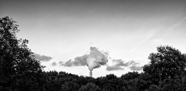 Photograph Rosario Leotta Cloud Factory on One Eyeland