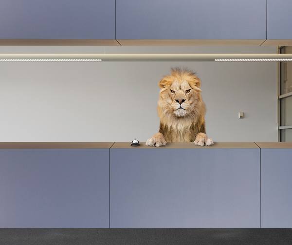 Photograph John Lund Complaint Desk on One Eyeland