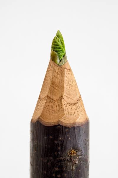 Photograph Jose Laino Crayon Alive on One Eyeland