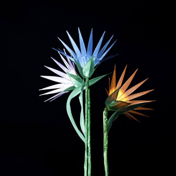 Photograph Christopher Adach Diwali Lanterns on One Eyeland