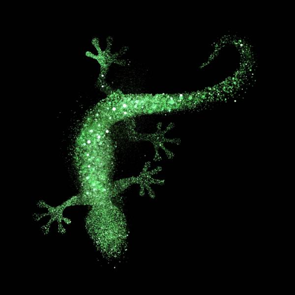 Photograph Floriana Barbu Dubstep Lizard on One Eyeland