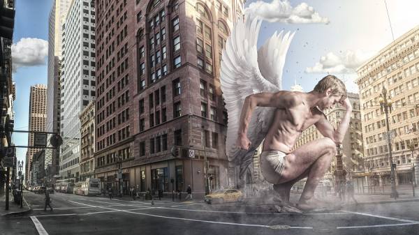 Photograph Dusan Holovej Fallen on One Eyeland