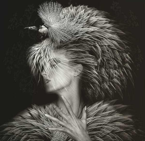 Photograph Lee Howell Fashion And Feathers on One Eyeland