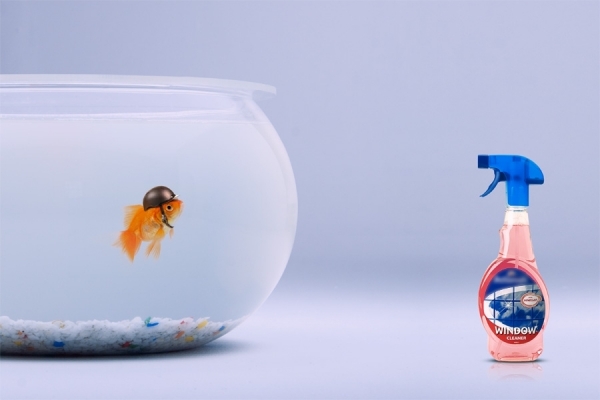 Photograph Seagram Pearce Fishbowl on One Eyeland
