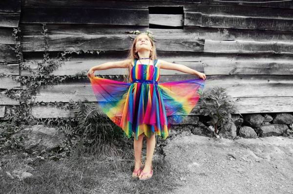 Photograph Elif Arslan Free Butterfly on One Eyeland