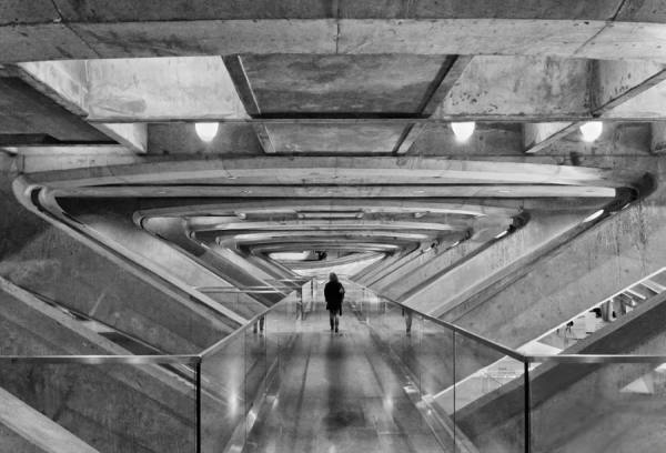 Photograph Vicente Moraga Good Bye on One Eyeland