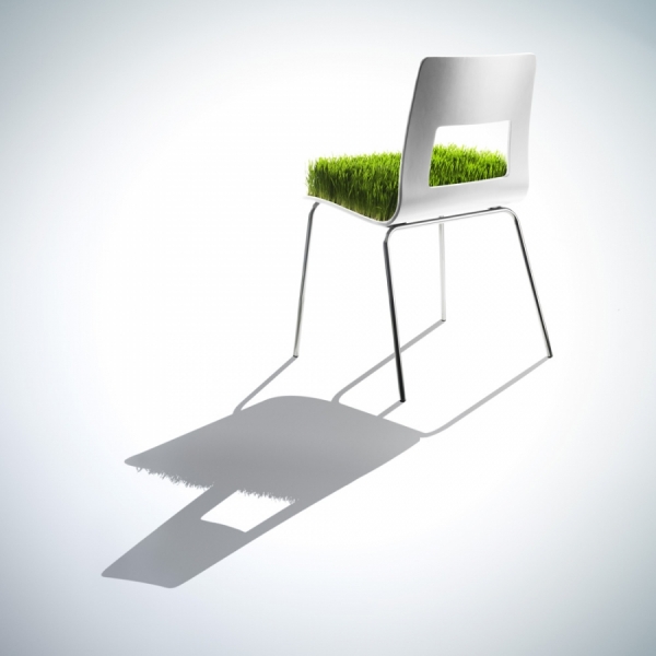 Photograph David Arky Green Chair on One Eyeland