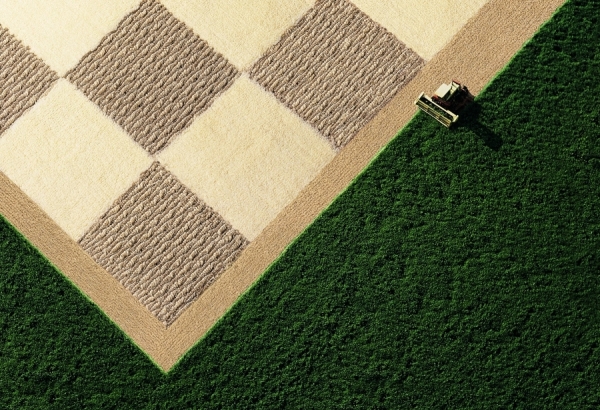 Photograph Mauro Risch Harvesting on One Eyeland