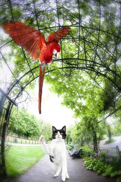 Photograph Lennette Newell Hyde Park Reverie on One Eyeland
