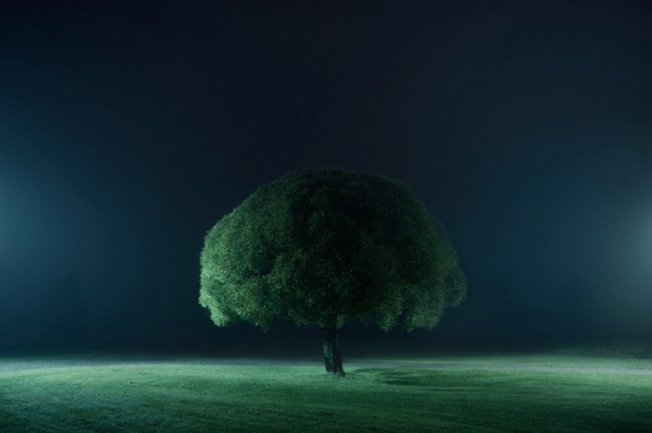 Photograph Mikko Lagerstedt In The Spotlight on One Eyeland