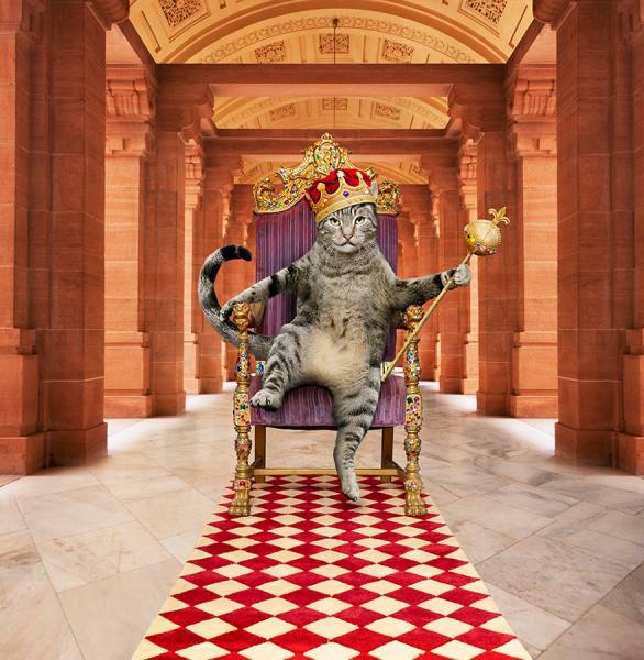 Photograph John Lund King Of Beasts on One Eyeland
