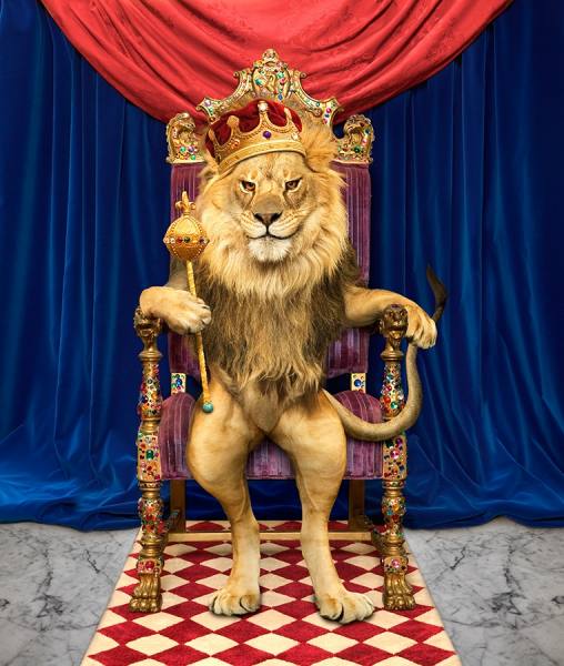 Photograph John Lund King Of Beasts on One Eyeland