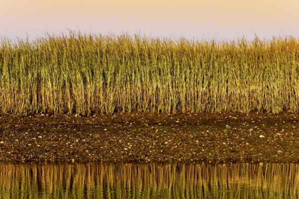 Photograph David Mullins Layered on One Eyeland