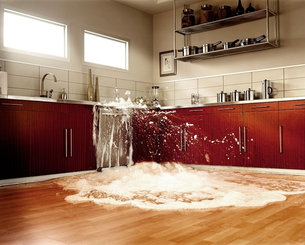 Photograph Dana Neibert Leak on One Eyeland