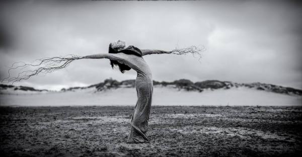 Photograph Monica Stuurop Like A Tree In The Dunes on One Eyeland