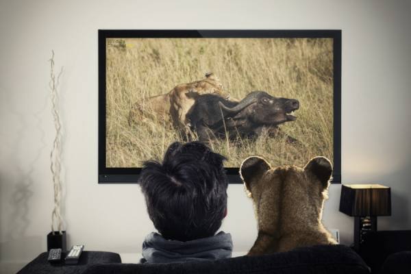 Photograph Ozkan Ozmen Lioness And Watching Documentary on One Eyeland
