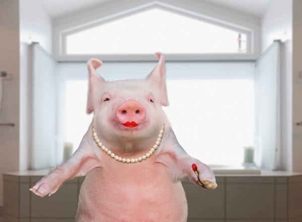 Photograph John Lund Lipstick On A Pig on One Eyeland