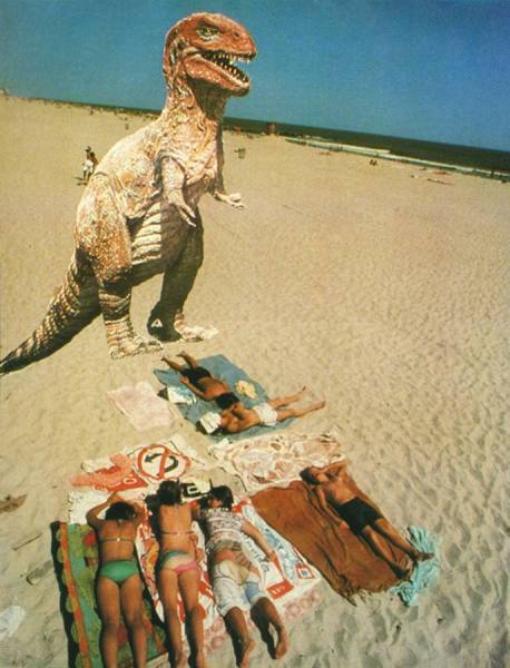 Photograph Robert Funk Lunch Time on One Eyeland